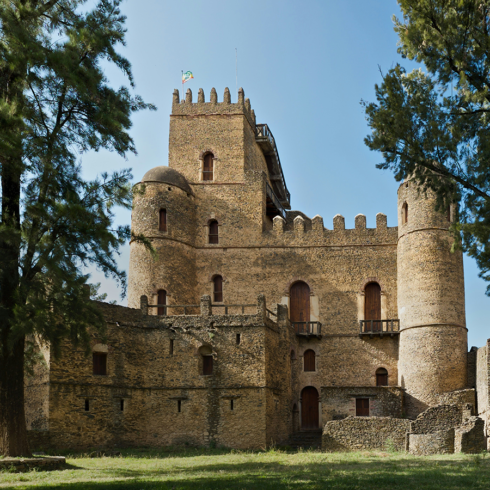 Asac Servicios protection