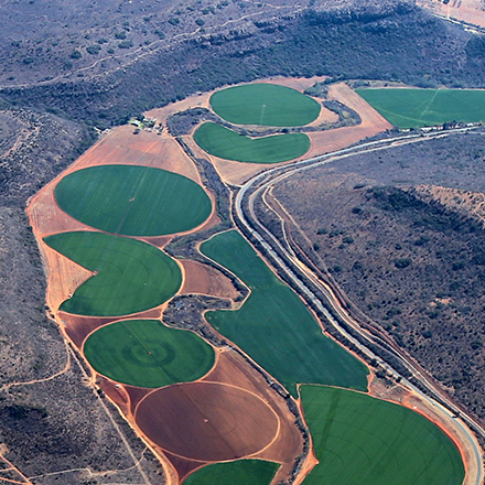 asac international baner