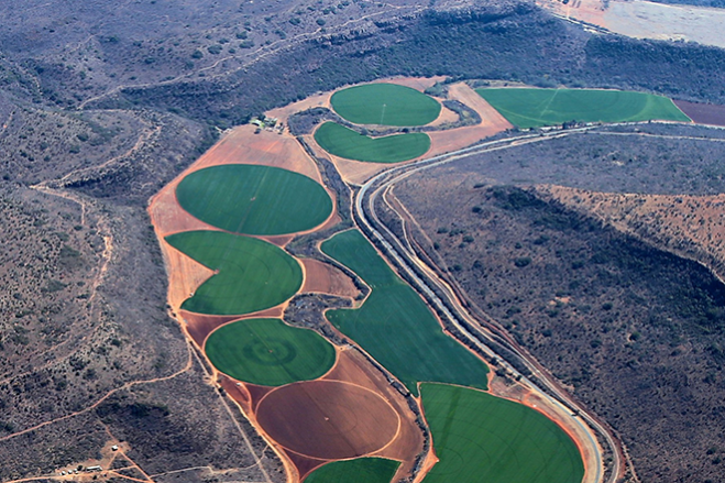 asac international baner