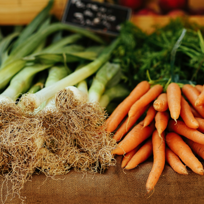 proyecto agricultura RCA