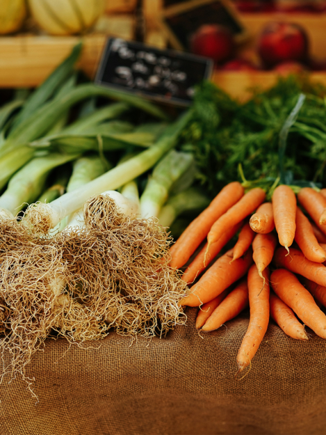 proyecto agricultura RCA