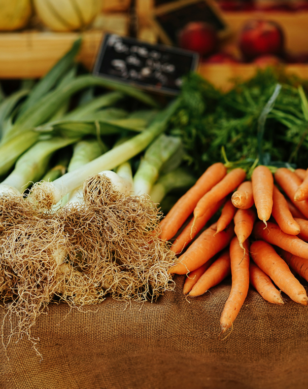 proyecto agricultura RCA