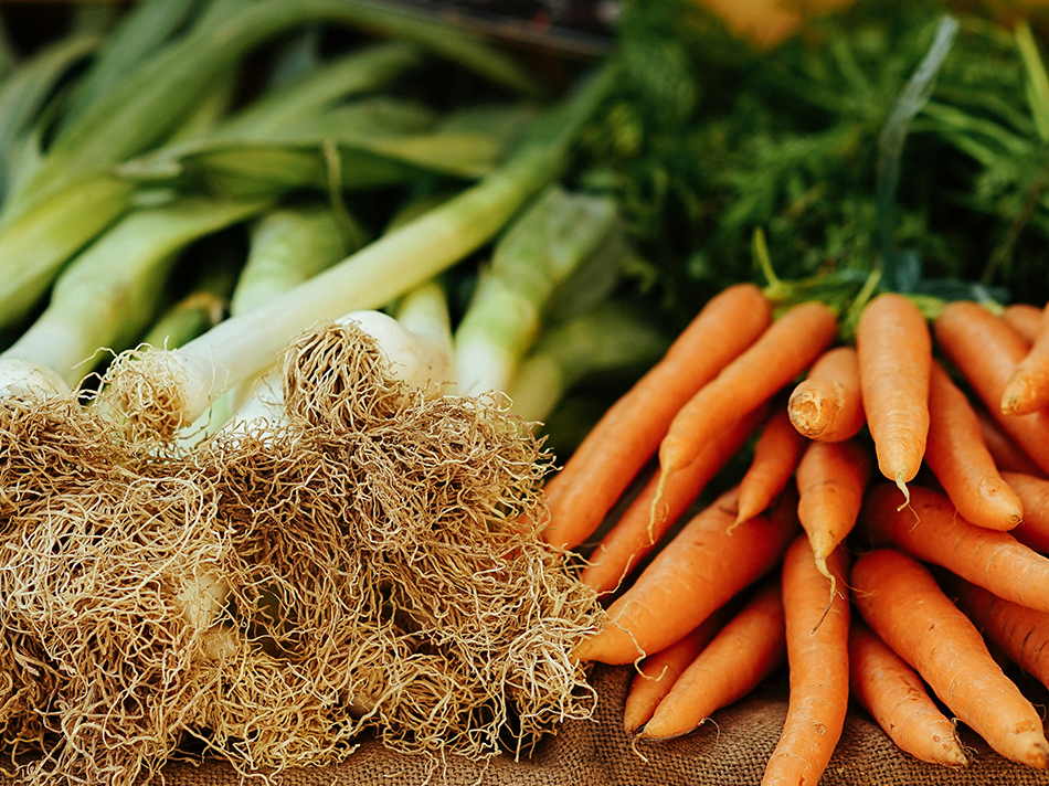 proyecto agricultura RCA