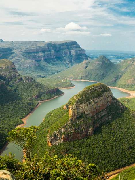 ramas del desarrollo