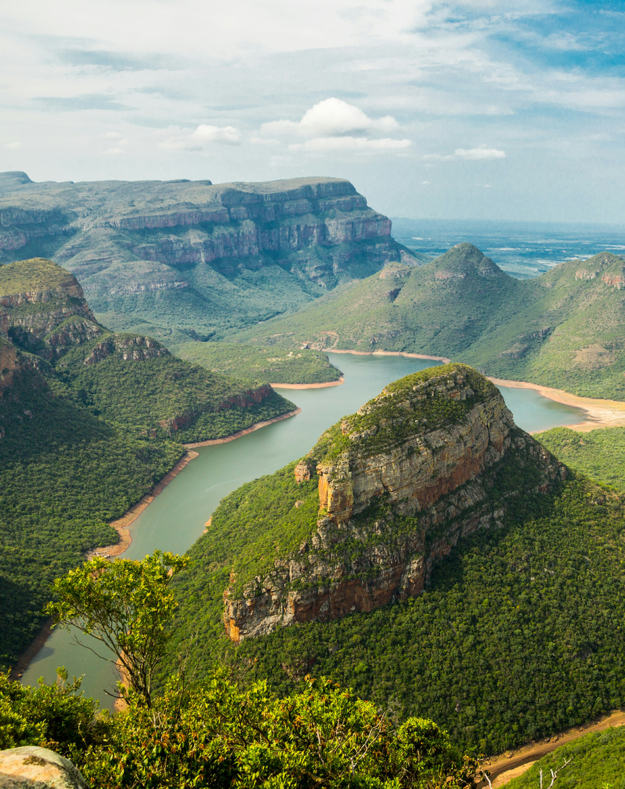 ramas del desarrollo