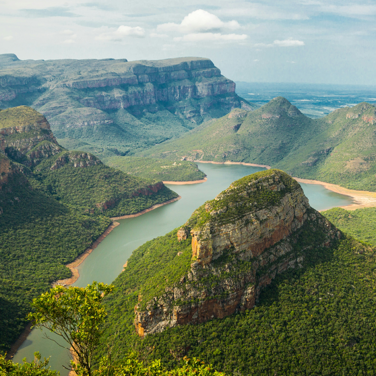 ramas del desarrollo ramas del desarrollo