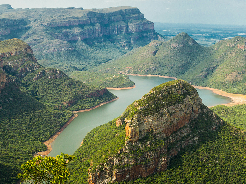 ramas del desarrollo